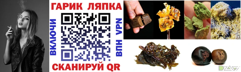 ГАШИШ индика сатива  darknet наркотические препараты  Зубцов 