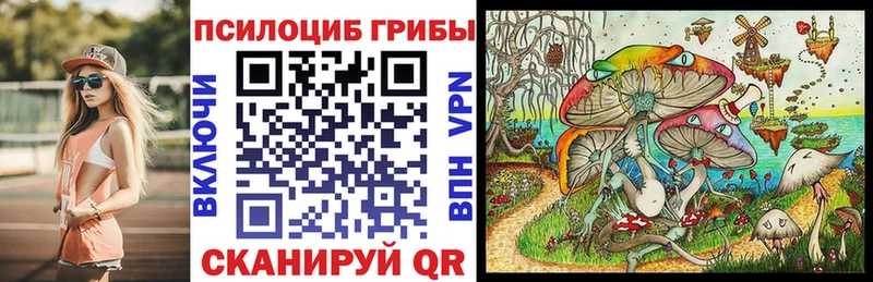 Псилоцибиновые грибы Cubensis  Зубцов 